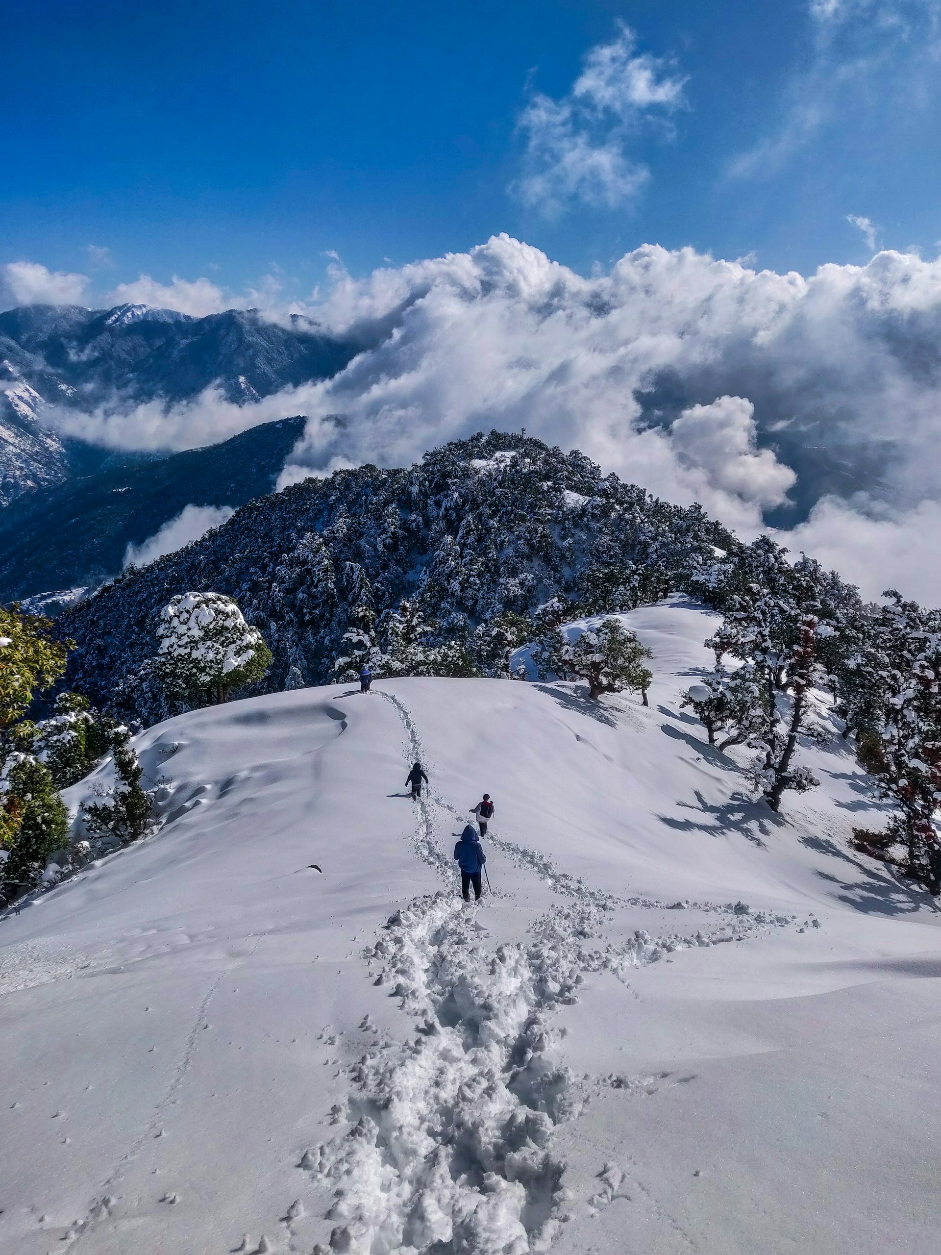 Kedarnath trek